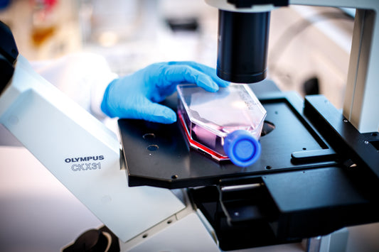 CodiKoat Achieve World's Fastest ISO Certification For Air Filter & Gloves Coating Technology